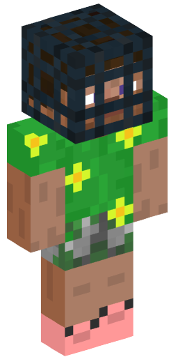 Minecraft Skin #197513