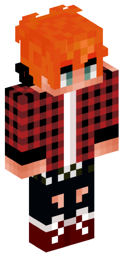 Minecraft Skin #197863