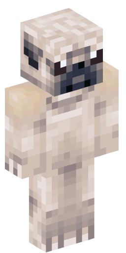 Minecraft Skin #197923