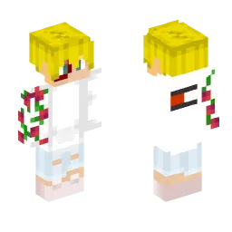 Minecraft Skin #198555