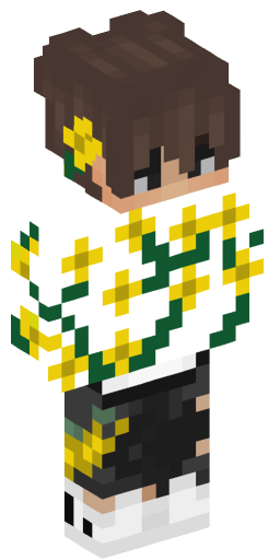 Minecraft Skin #199701