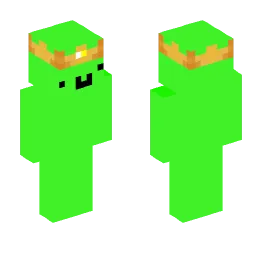 Minecraft Skin #