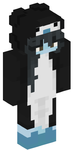 Minecraft Skin #200516