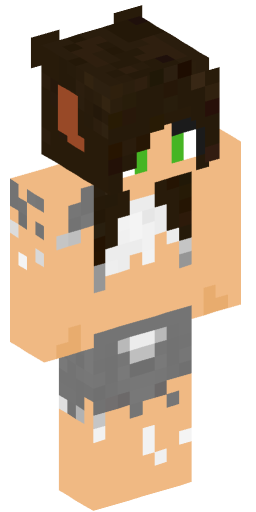 Minecraft Skin #200527