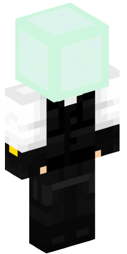 Minecraft Skin #200557