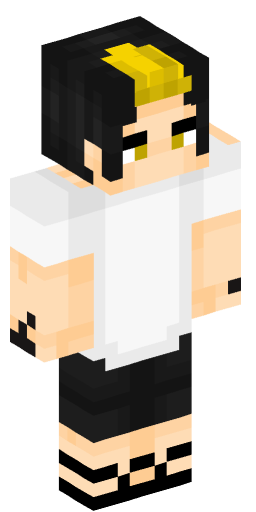 Minecraft Skin #200589