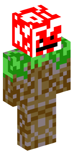 Minecraft Skin #200628