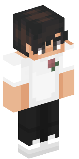 Minecraft Skin #200633