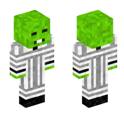 Minecraft Skin #200786