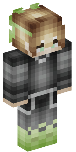 Minecraft Skin #200810