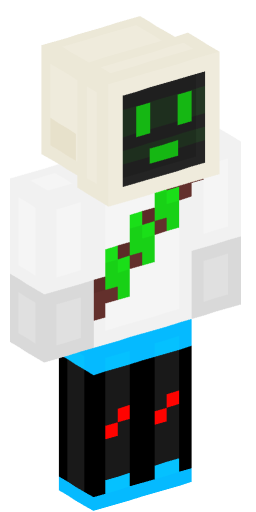Minecraft Skin #200834