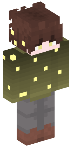 Minecraft Skin #200880