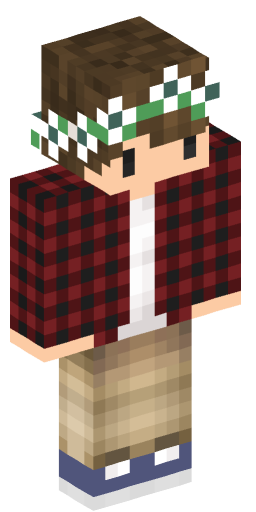 Minecraft Skin #200943