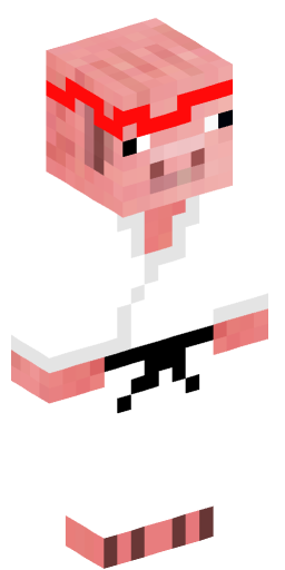 ninjapig14028 Minecraft Skin Preview on Minecraft.Co.Com