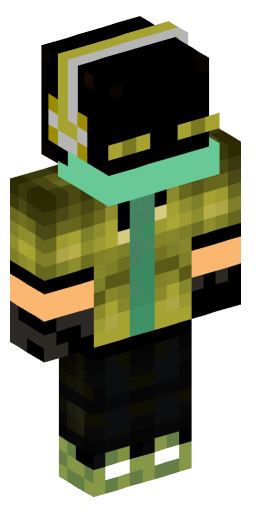 Minecraft Skin #201177