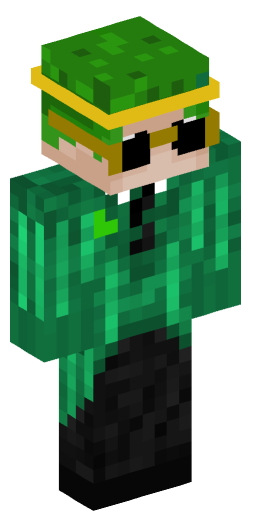Minecraft Skin #201223