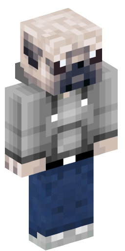 Minecraft Skin #201825