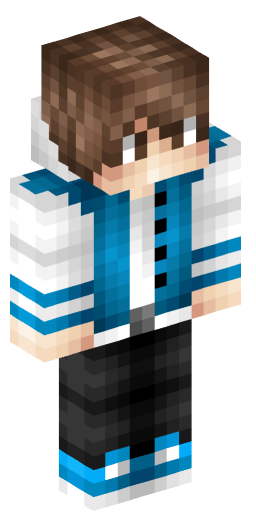 Minecraft Skin #202028