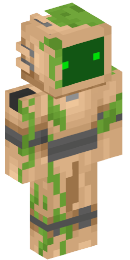 Minecraft Skin #202158