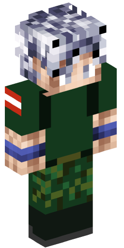 Minecraft Skin #202195