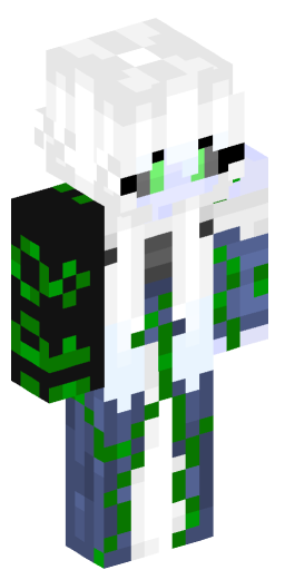 Minecraft Skin #202226