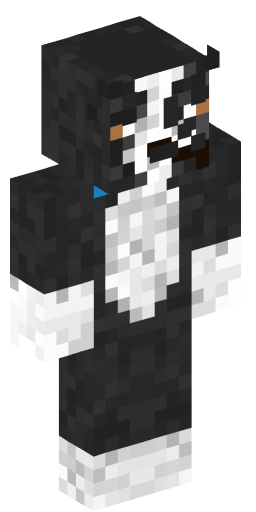 Minecraft Skin #202265