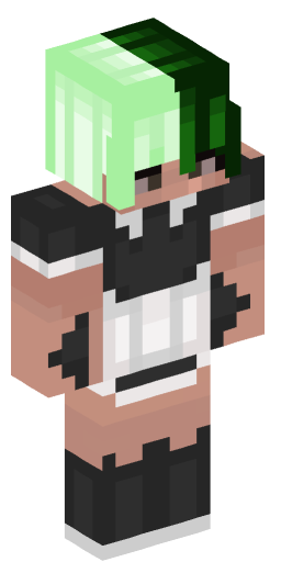 Minecraft Skin #202300