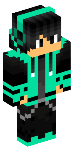 Minecraft Skin #202312