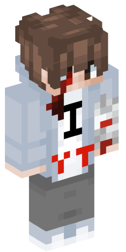 Minecraft Skin #202352