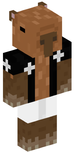 Minecraft Skin #202475