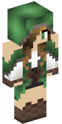 Minecraft Skin #202492