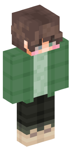 Minecraft Skin #202506