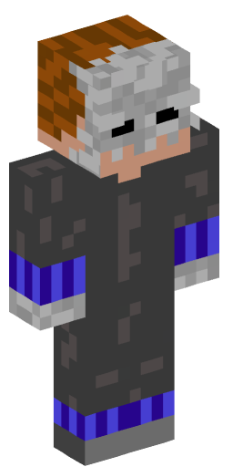 Minecraft Skin #202527