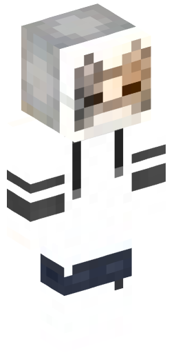 Minecraft Skin #202668