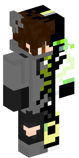 Minecraft Skin #203533