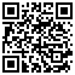 paletti4958 QR Code
