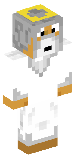 Minecraft Skin #203902