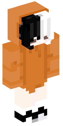 Minecraft Skin #203945