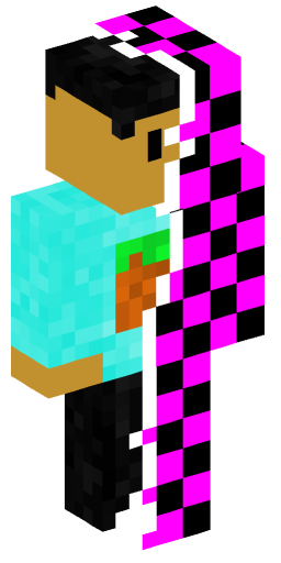 Minecraft Skin #203993