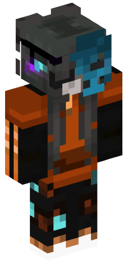 Minecraft Skin #204060