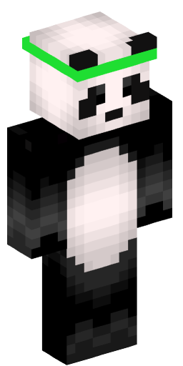 Minecraft Skin #204118