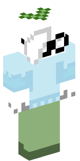 Minecraft Skin #204306