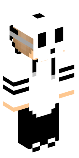 Party101 Minecraft Skin Preview on Minecraft.Co.Com