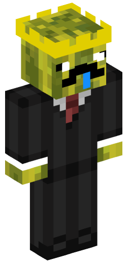 Minecraft Skin #204722