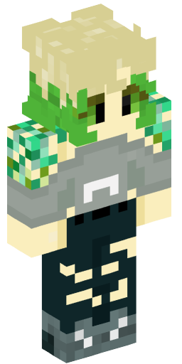 Minecraft Skin #205031