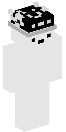 Minecraft Skin #205086