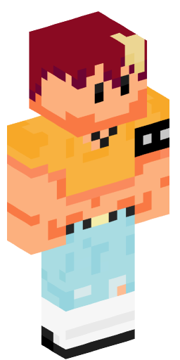 Minecraft Skin #205090