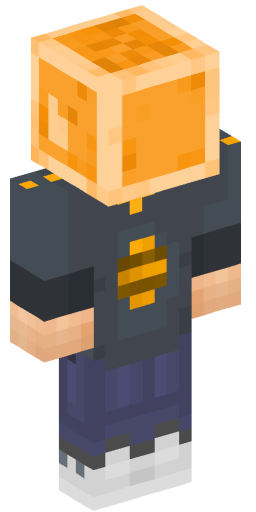 Minecraft Skin #205111