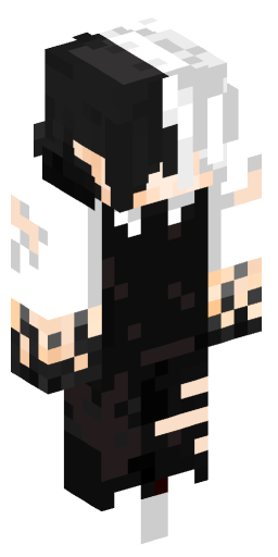 Minecraft Skin #205131
