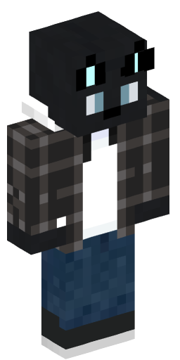 Minecraft Skin #205157